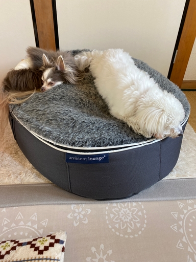 公式】 ソファ補充キット - アンビエントラウンジ