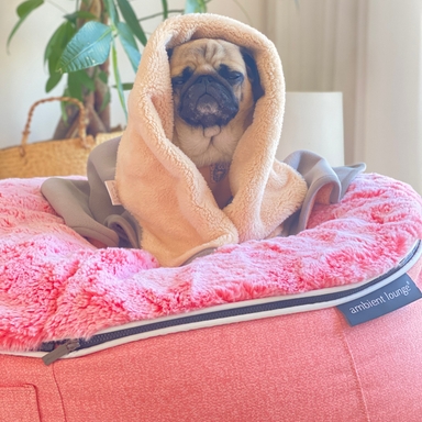 公式】 ペットブランケット - アンビエントラウンジ