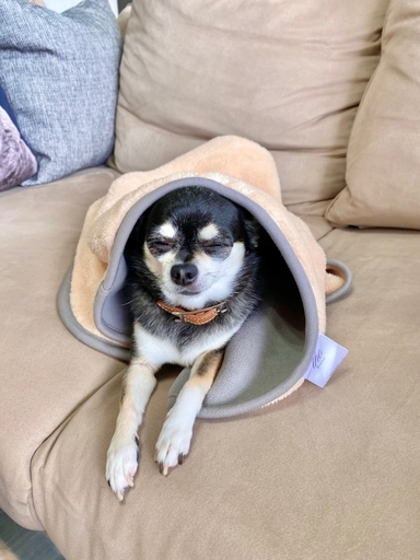 公式】 ペットブランケット - アンビエントラウンジ