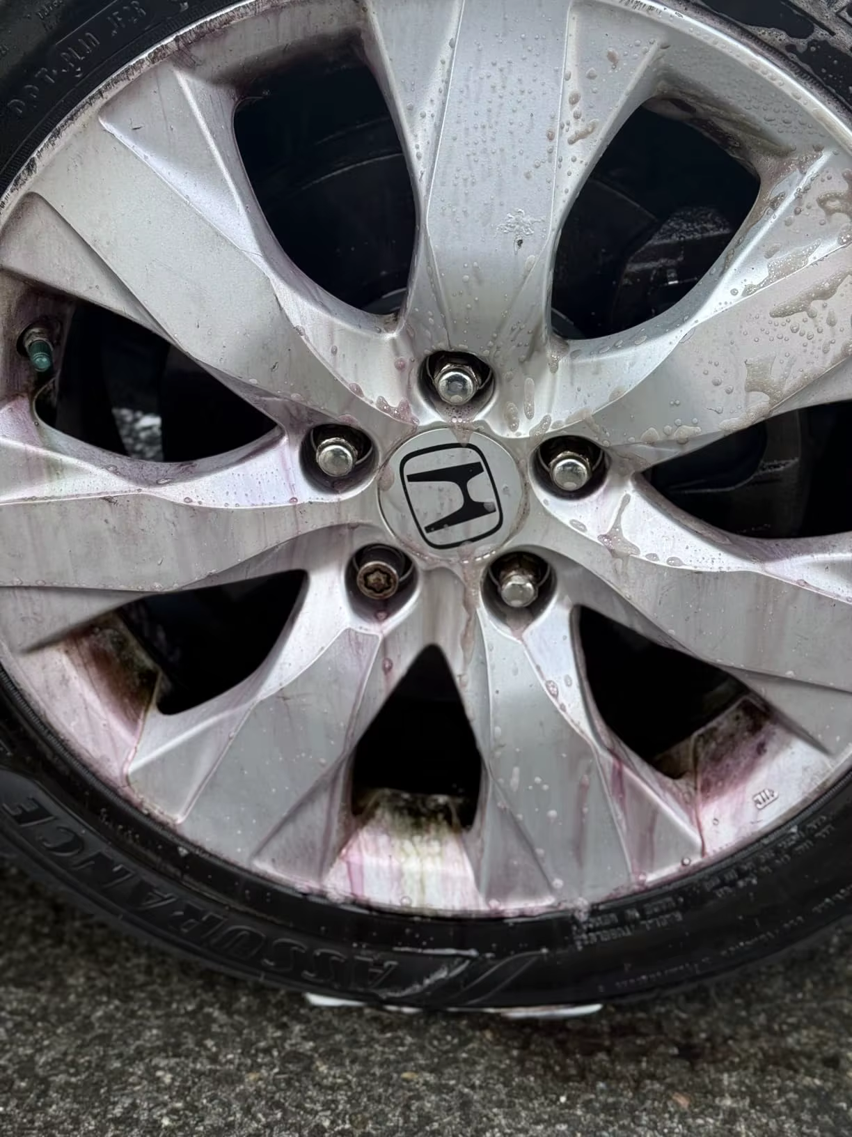 Customer photo