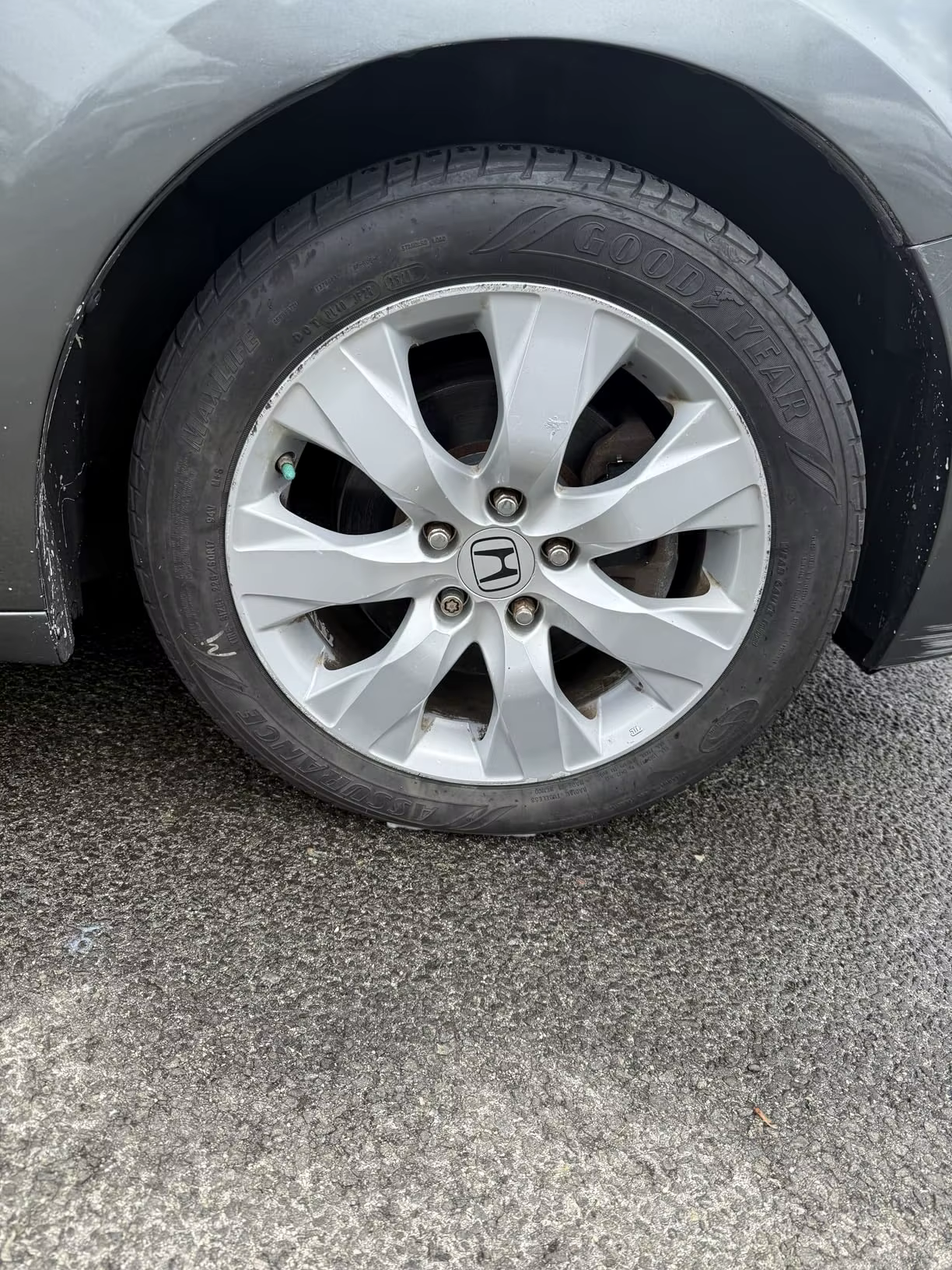 Customer photo