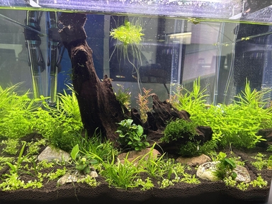 CO2