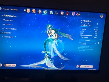 Genshin Accounts Bay