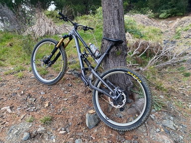 Customer photo