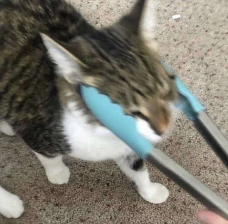 user